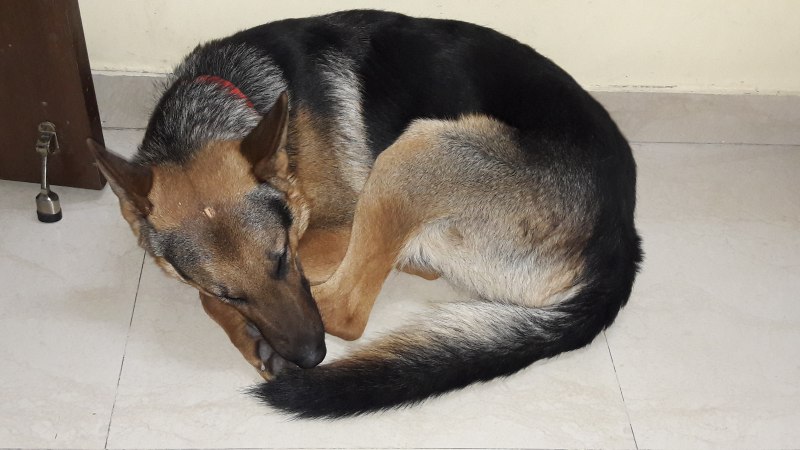 GSD Luwa