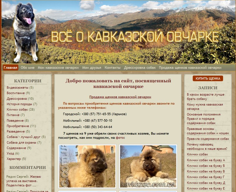 Норма корма для щенка французского бульдога 5 месяцев