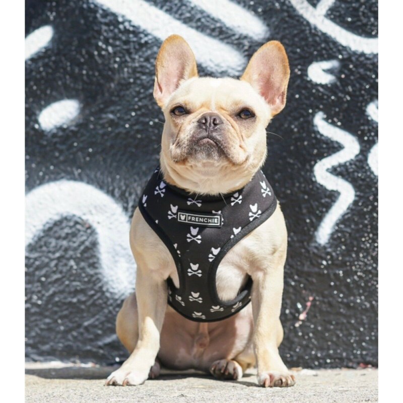 Шлейка для французского бульдога Frenchie