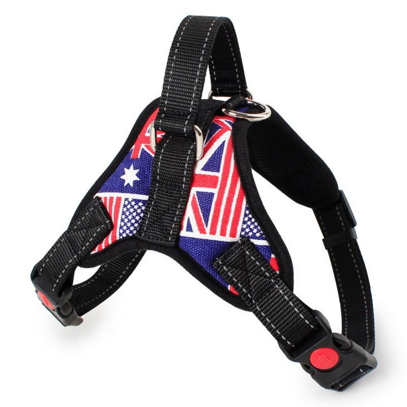 Шлейка Sport Dog p XS (фуксия)