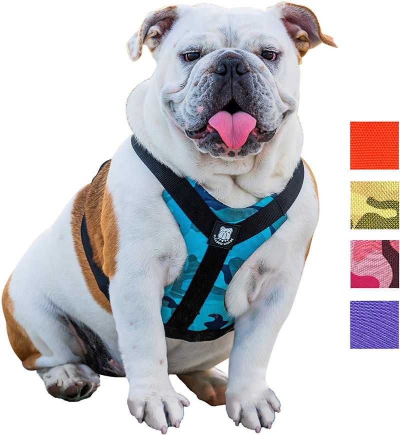 Шлейка для французского бульдога Frenchie