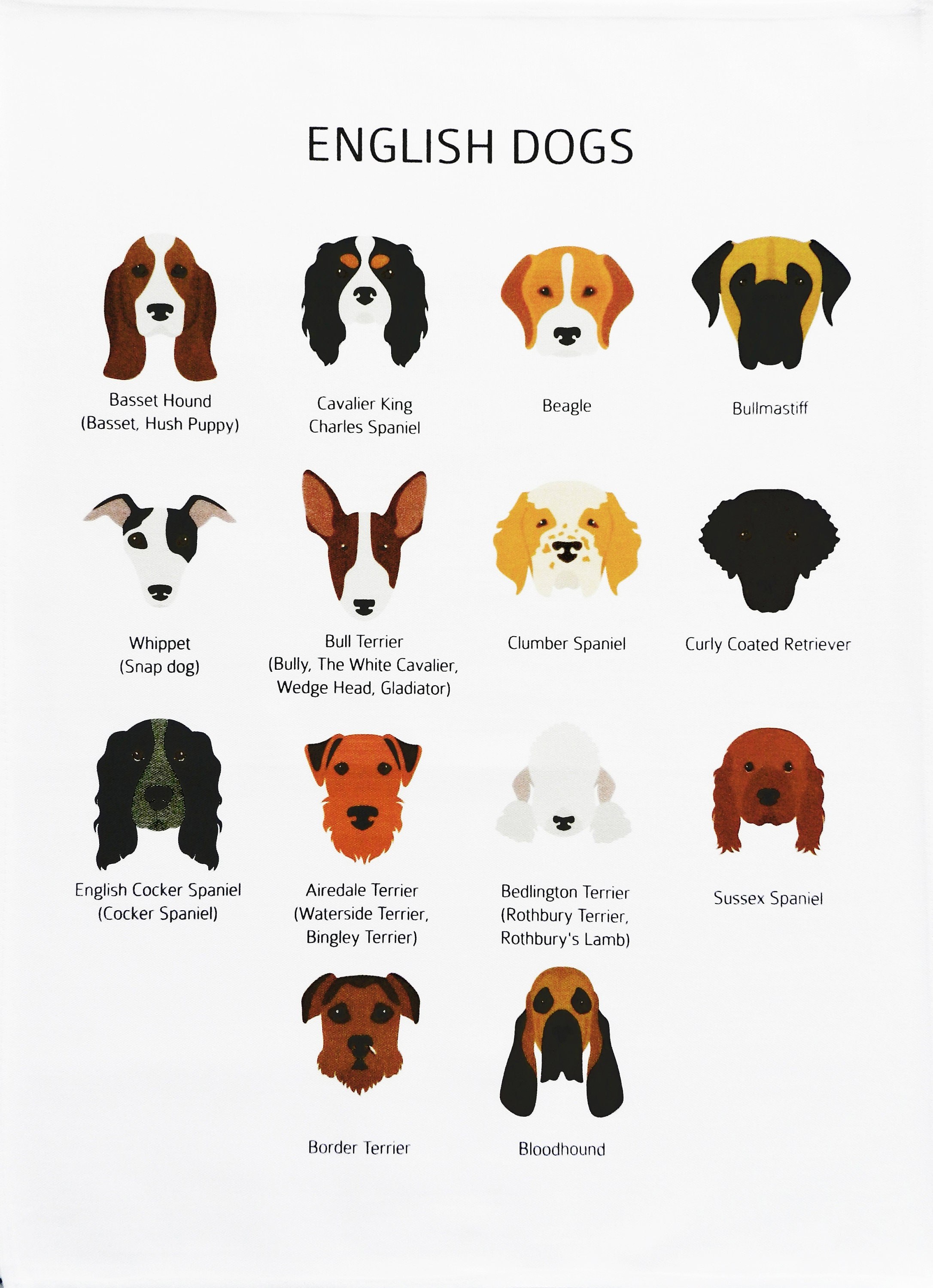 Собака на английском написать. Породы собак с именами. Названия собак на английском. Породы собак по английскому. Клички для собак.