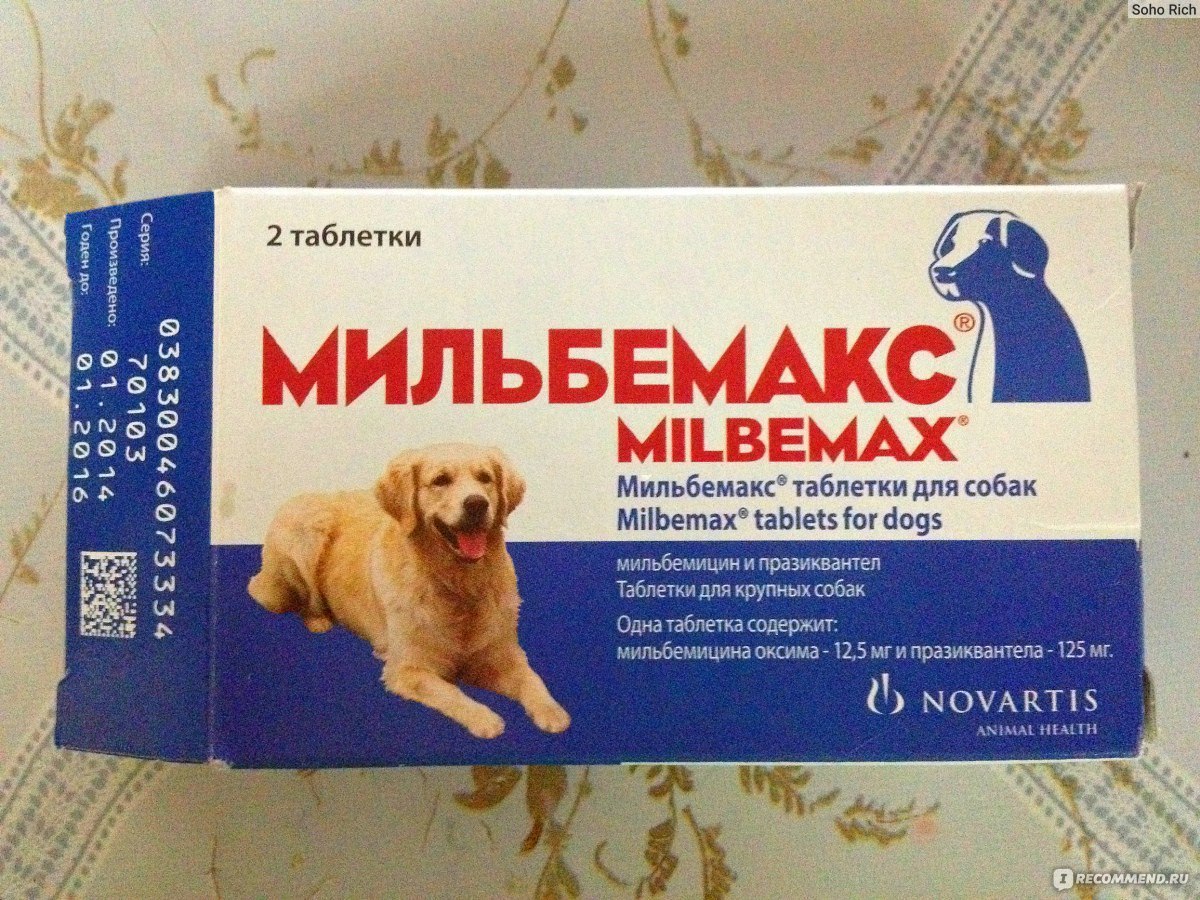 Собака мама таблетки. Глистогонные препараты для собак Мильбемакс. Антигельминтный препарат для собак Мильбемакс. Таблетки от глистов для собак Мильбемакс. Мильбемакс для щенка 4 кг.
