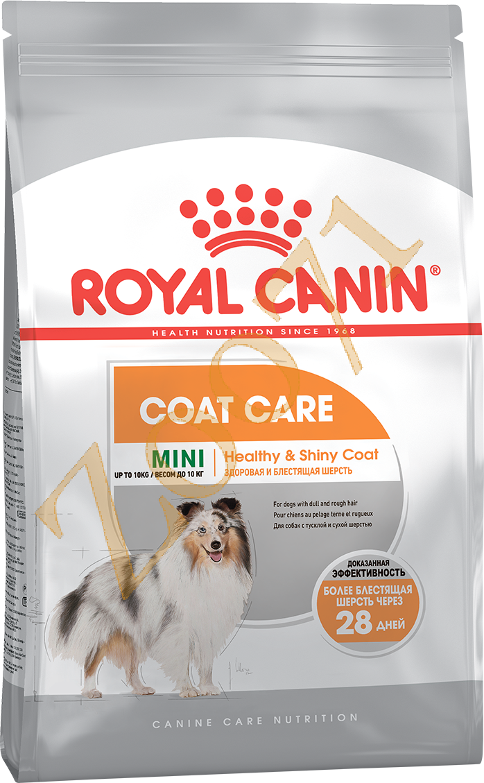 Роял Канин Mini Coat Care,