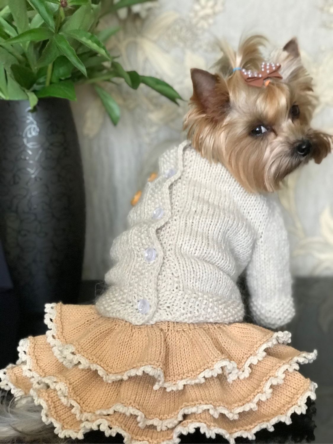 Кофты йорков. Вязаное платье для собаки. Пвязанное платье для собак. Платье для собаки крючком. Вязаная одежда для маленьких собак.