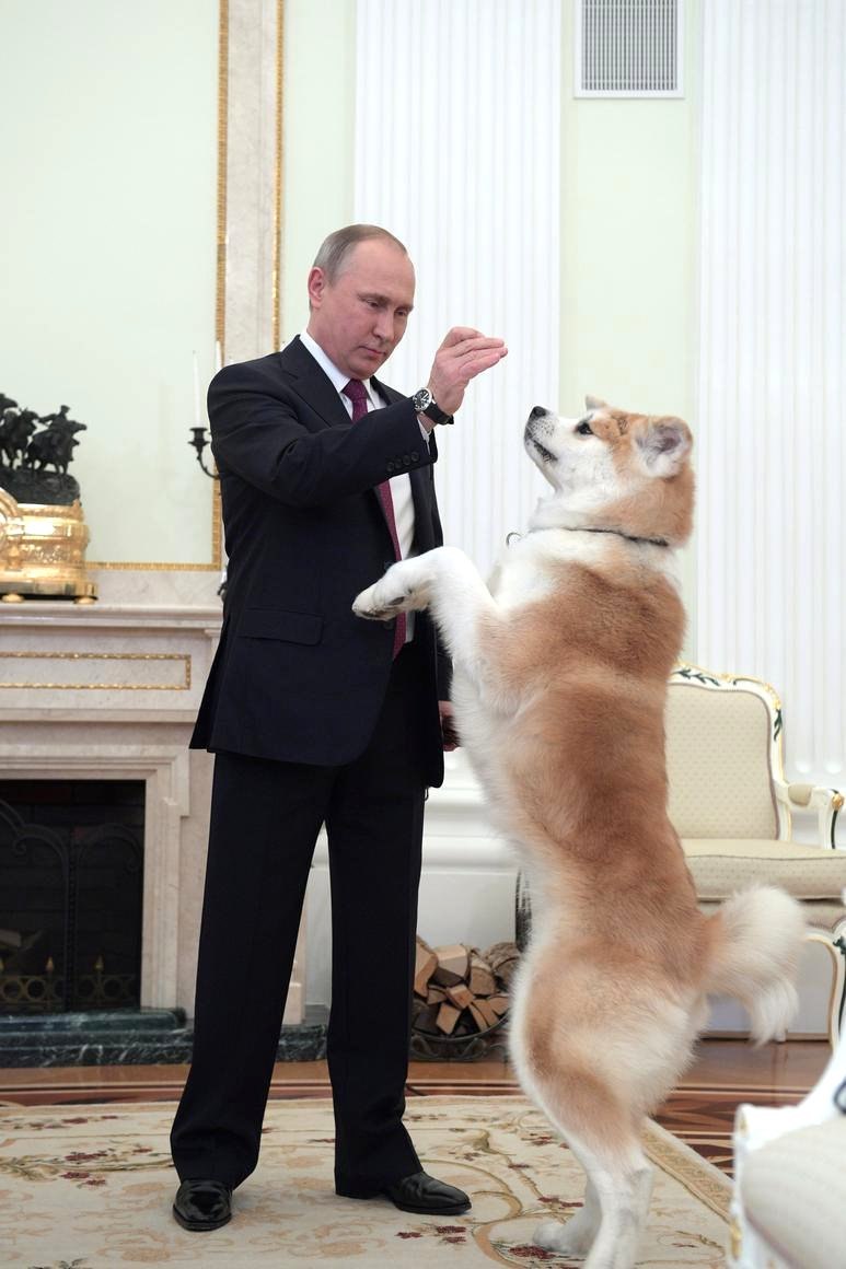 Путин и Акита ину