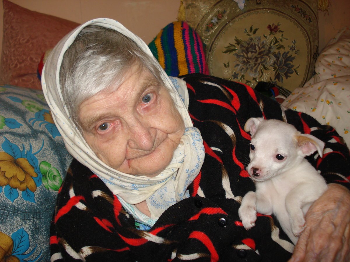 бабушка с собачкой картинки