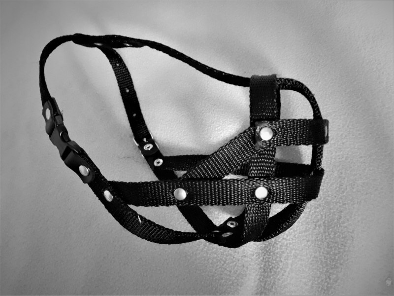 Collar waudog намордник "NASA"
