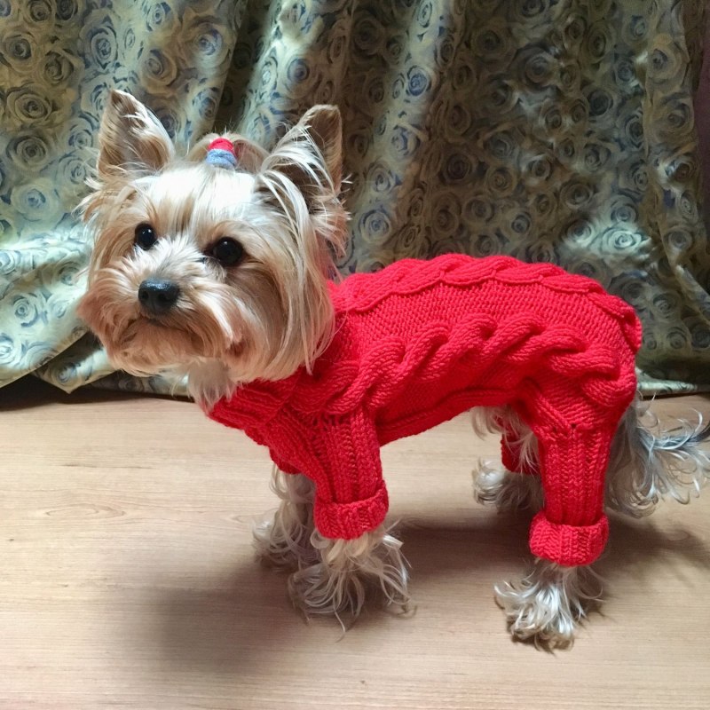 Комбинезон для собаки спицами, часть 1, Dog clothes