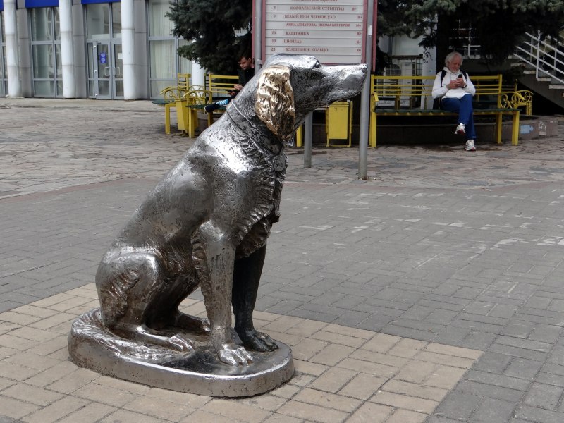Гостиница белый Бим