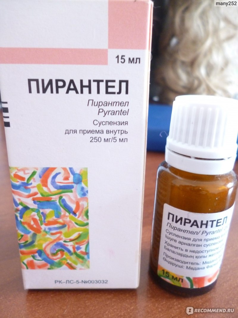 Пирантел суспензия для котят