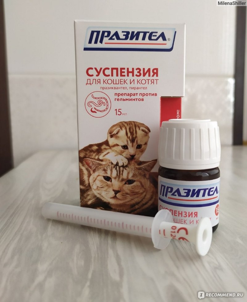 СКИФФ Празител суспензия для кошек и котят 15 мл