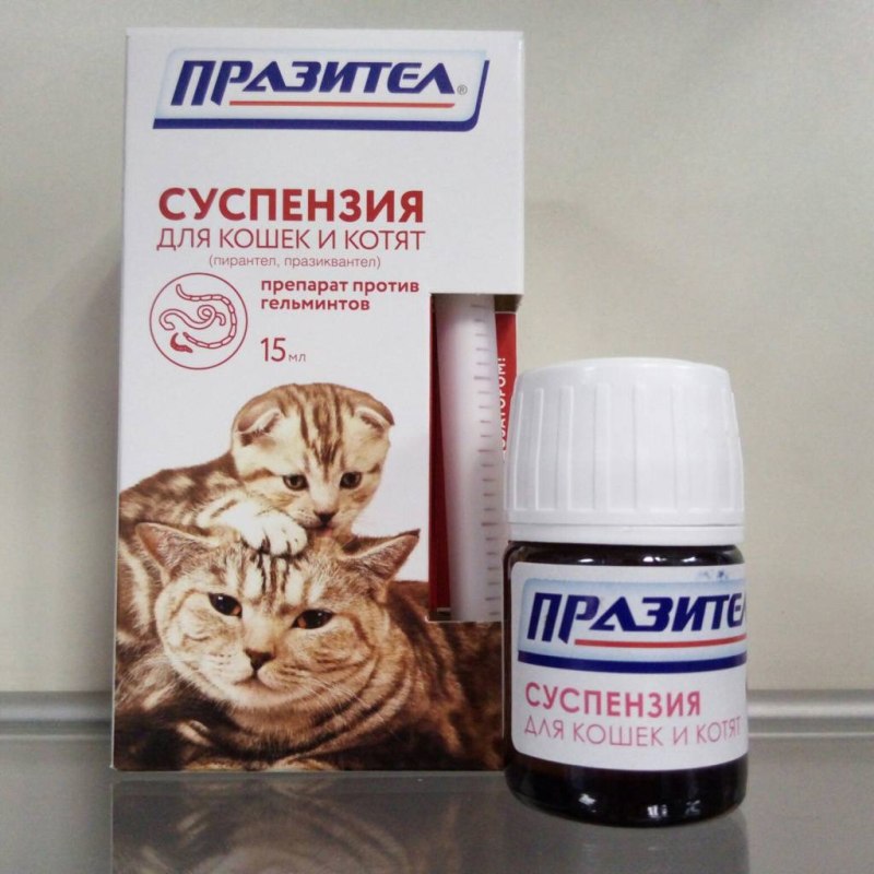 Суспензия от глистов для кошек Празител