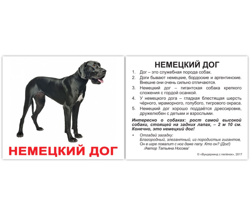 Карточки Домана породы собак