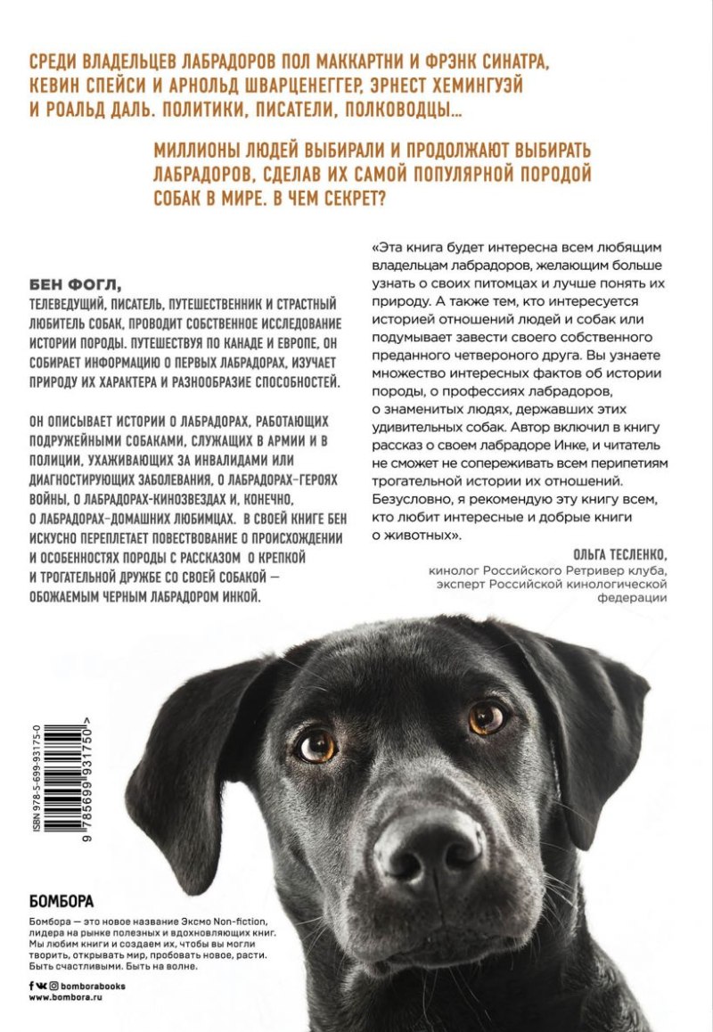 Бен Фогл секрет лабрадора