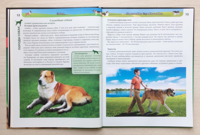 Книга про породы собак для детей