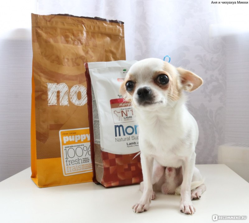 Сухой корм RC Chihuahua Junior