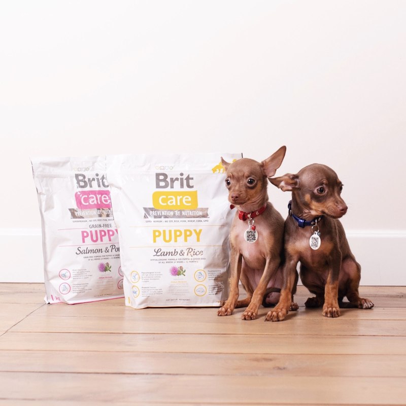 Royal Canin сухой корм для щенков породы Далматин "Dalmatian Puppy" 12 кг