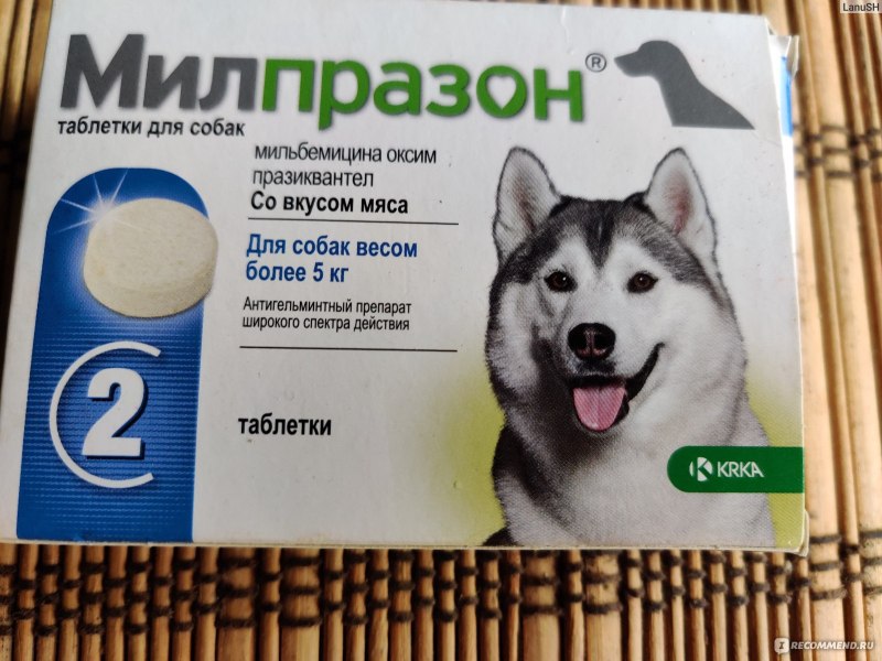 От глистов для собак Милпразон