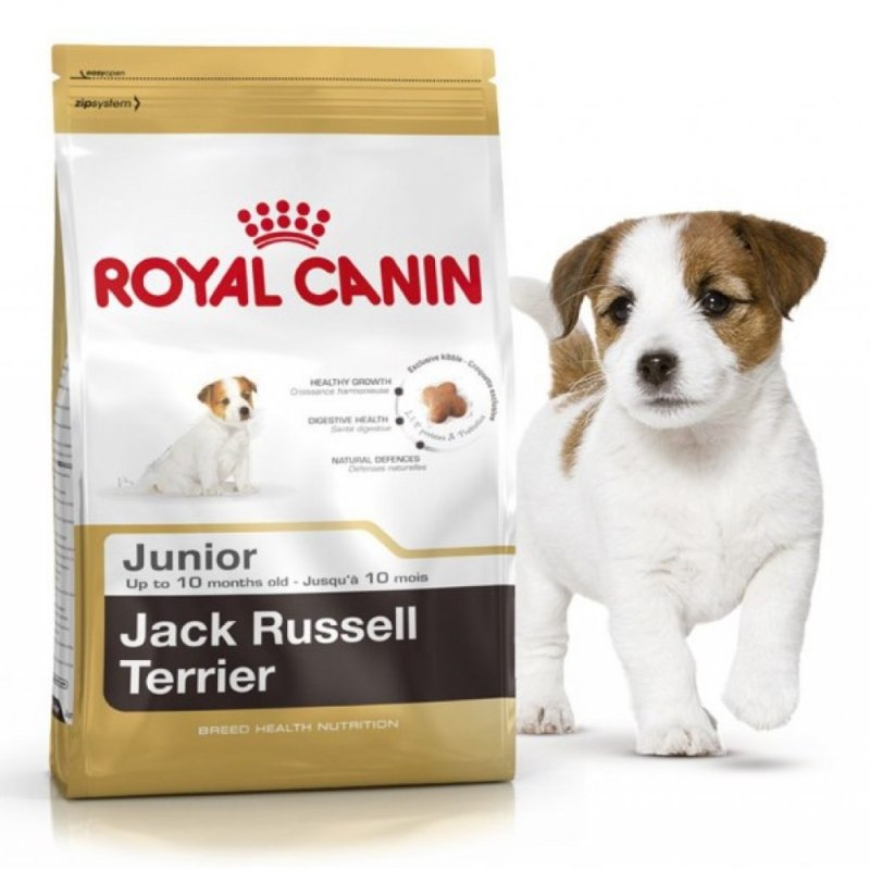 Royal Canin Jack Russell Terrier Puppy