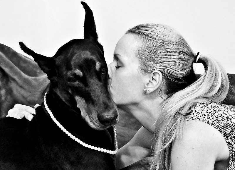 MISSDOBERMAN модель