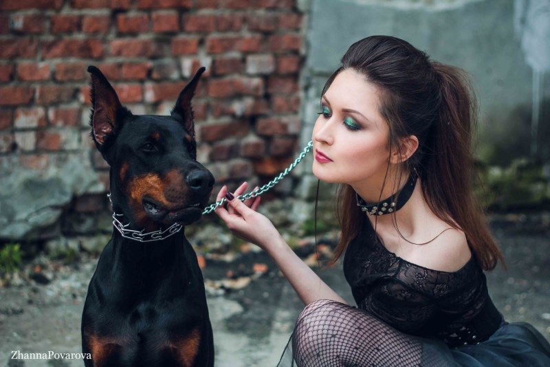 Аня Якушева Доберман
