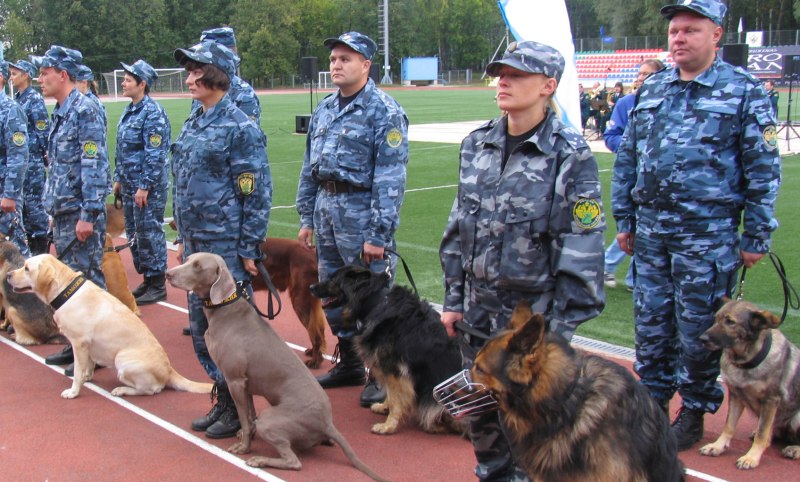 Кинолог на службе