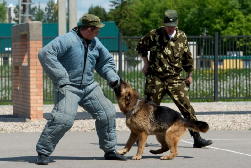 Вяземский Кинологический центр погранслужбы ФСБ РФ