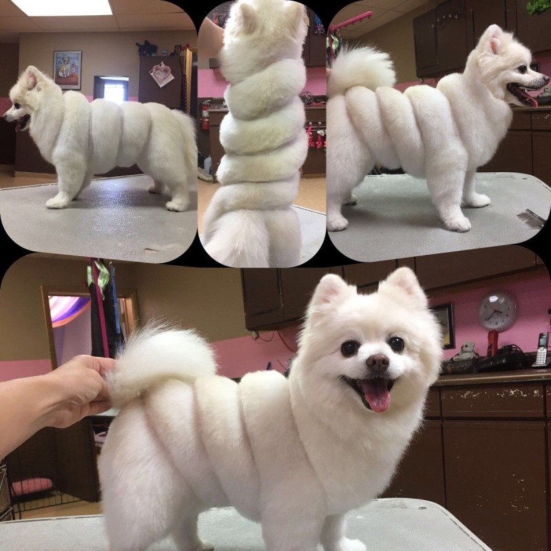 Расческа для шпица