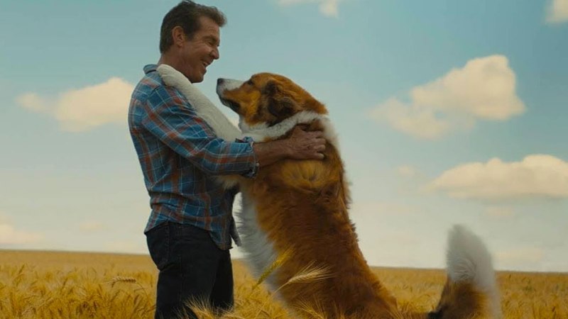 Пятерка кладоискателей фильм 2012