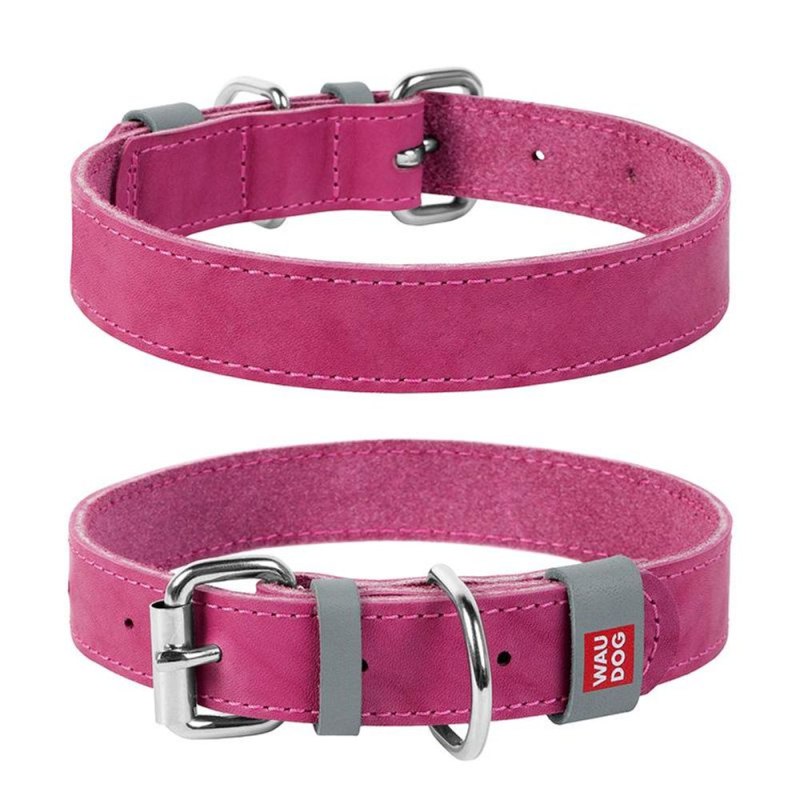 Ошейник Collar waudog