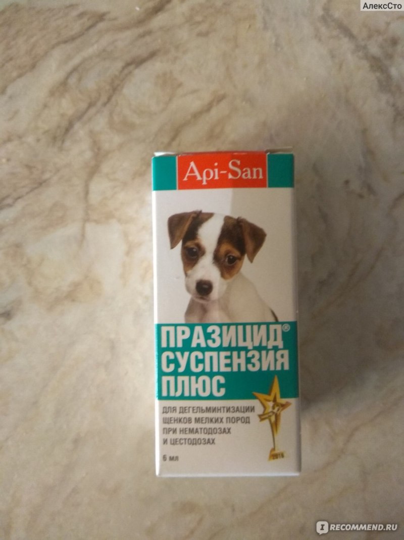 Глисты у собаки анкилостома
