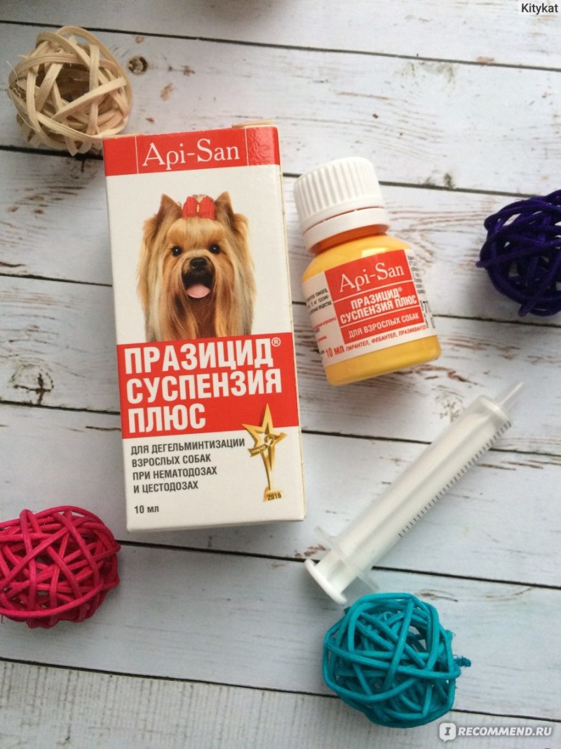 Суспензия против глистов для собак