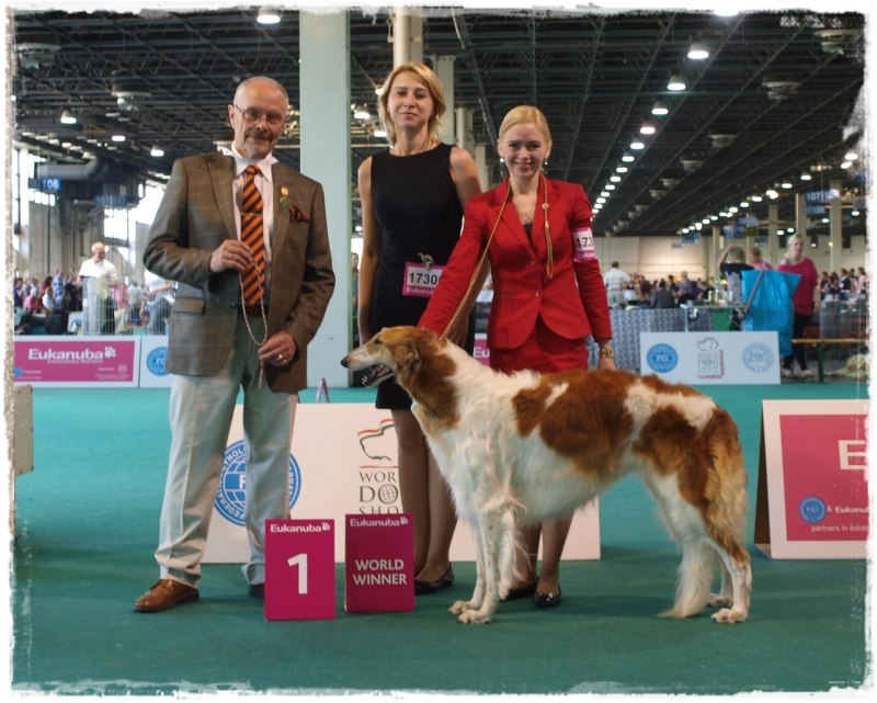 Чемпион World Dog show