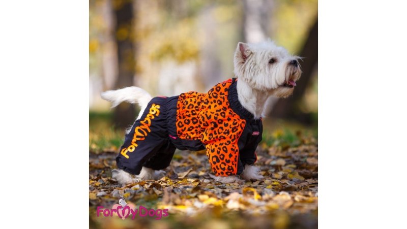 Комбинезон FORMYDOGS 19563347
