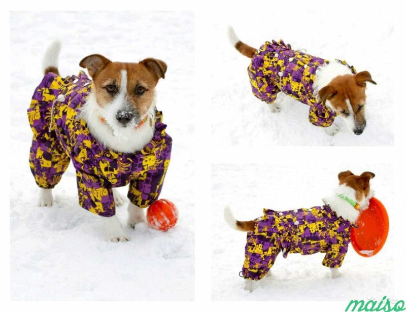 FORMYDOGS комбинезон Лео