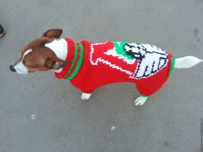 Попона FORMYDOGS