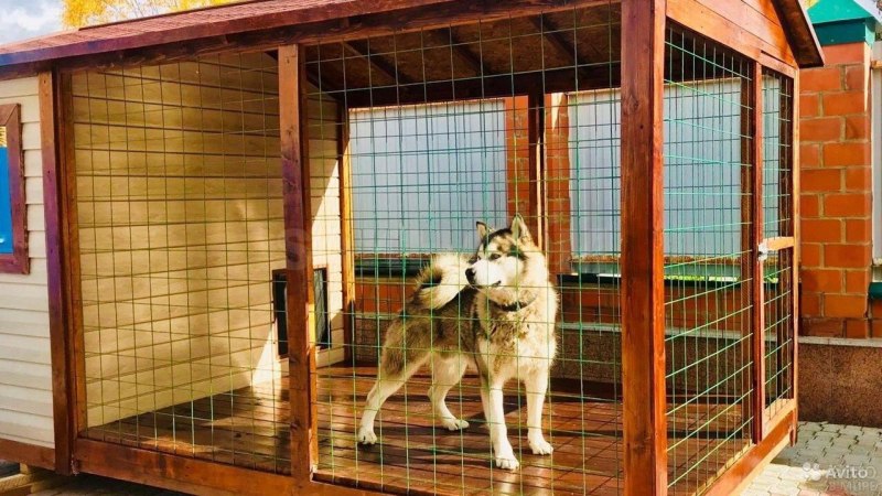 Вольер для собаки хаски