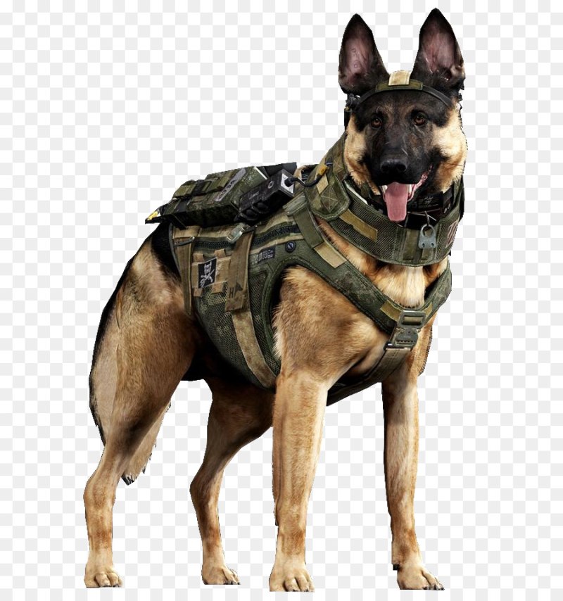 Райли собака Call of Duty