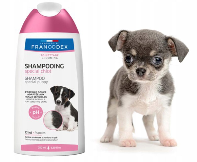 Beaphar Provitamin Shampoo шампунь для собак