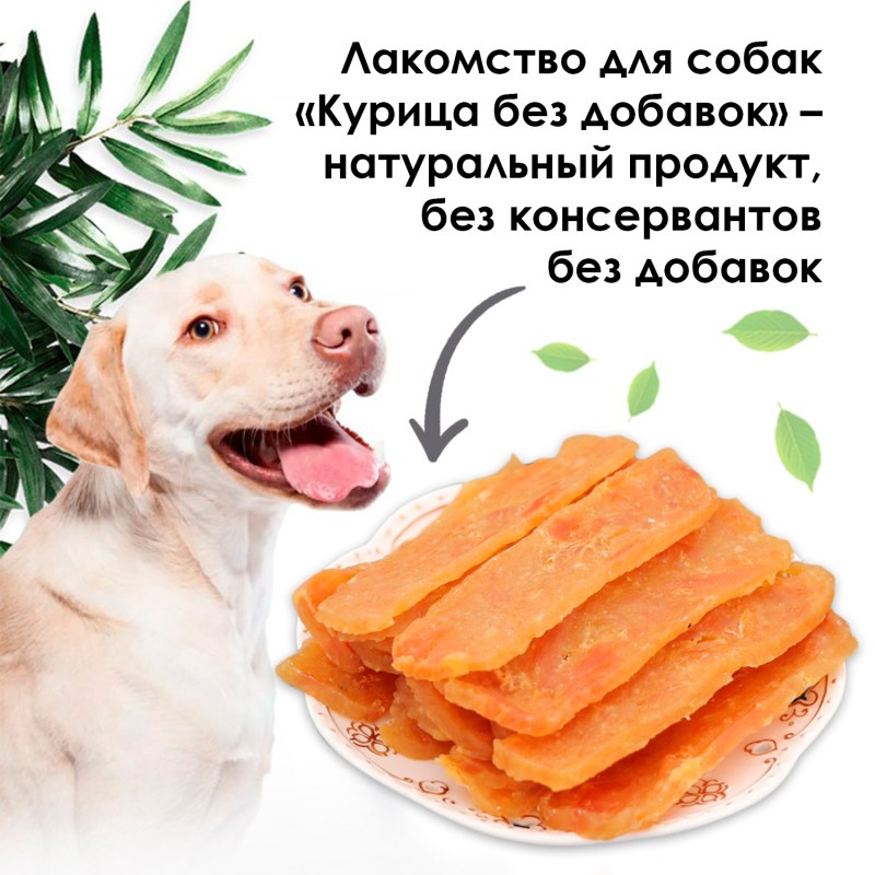 Собака кушает
