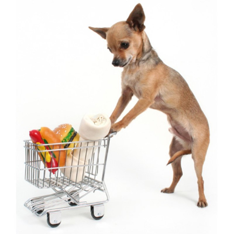 Pup напиток