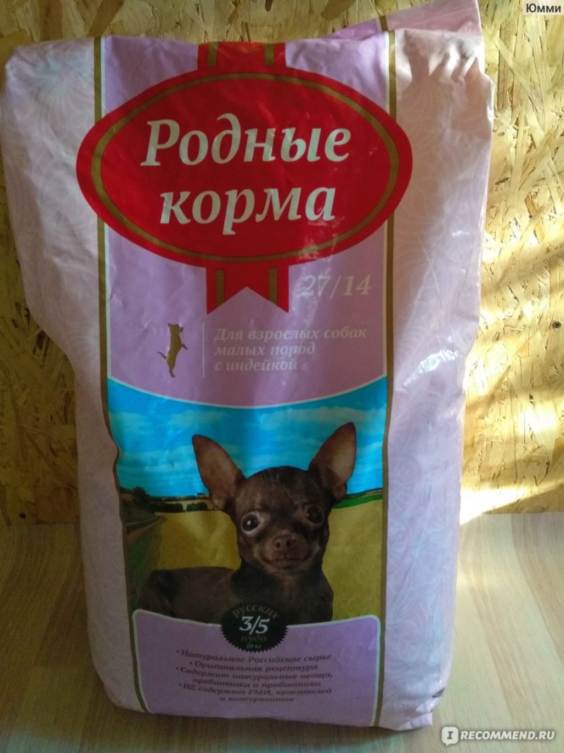 Рейтинг кормов для чихуахуа