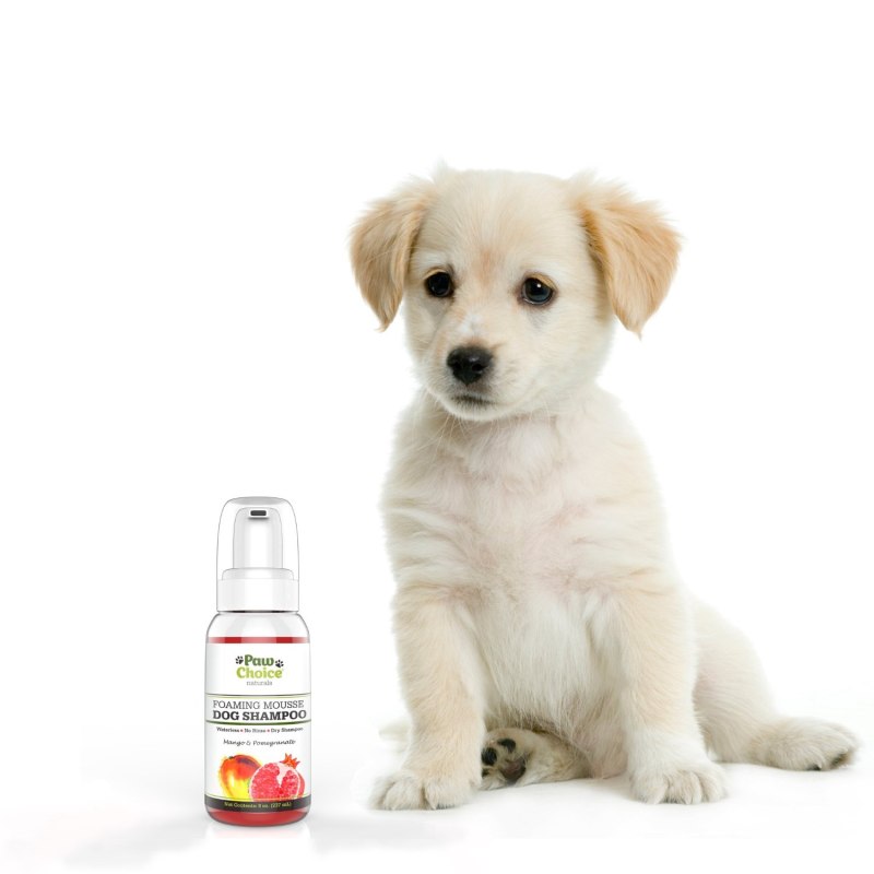 Dog friendly Beach Кипр