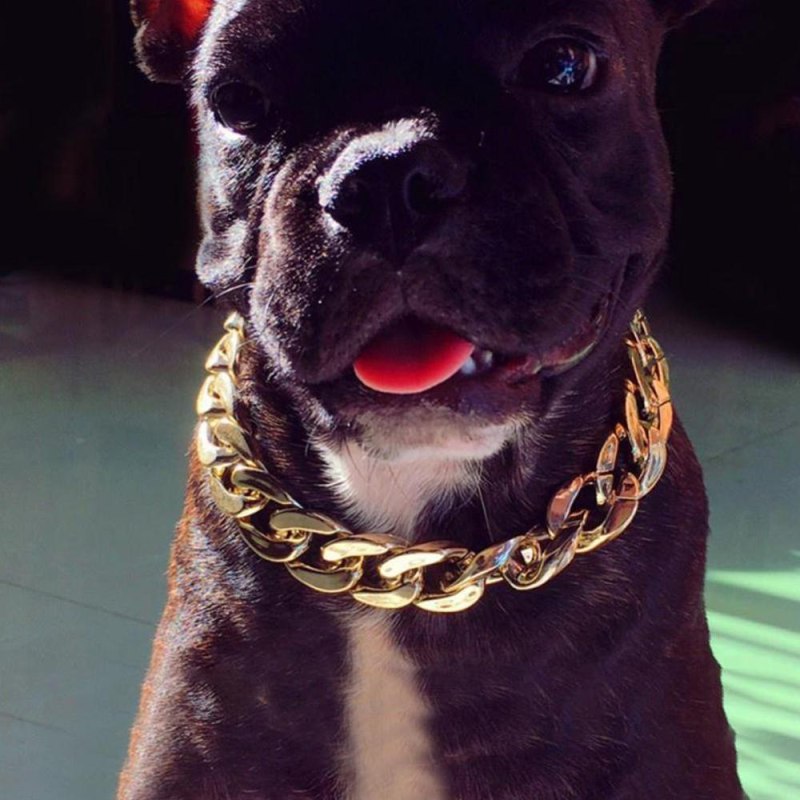 Cuban link собачий ошейник