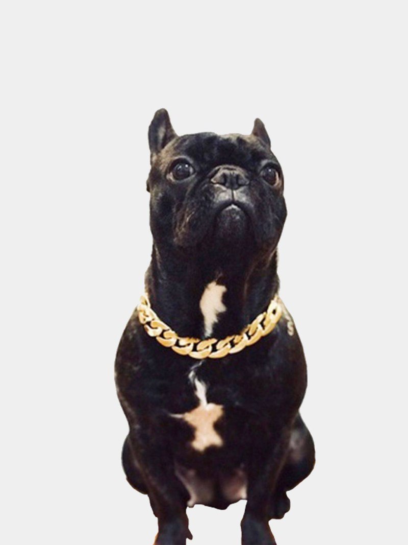 Cuban link собачий ошейник