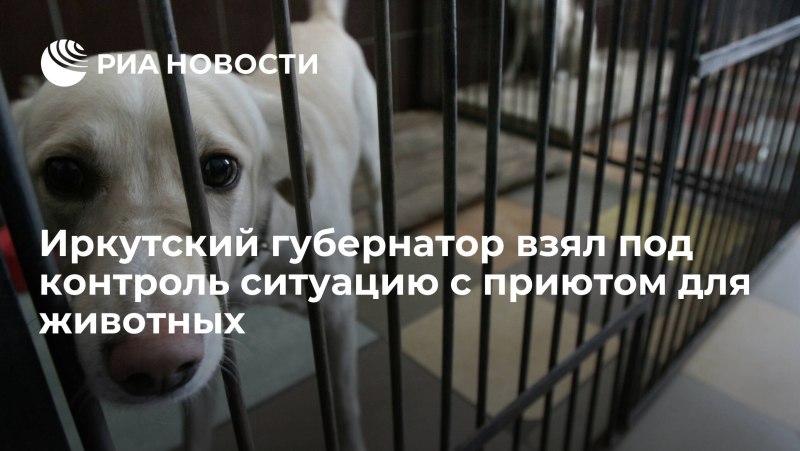 Штрафы за жестокое обращение с животными