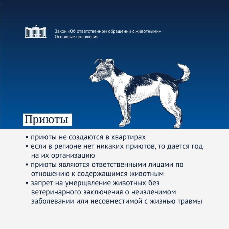 Федеральный закон об ответственном обращении с животными