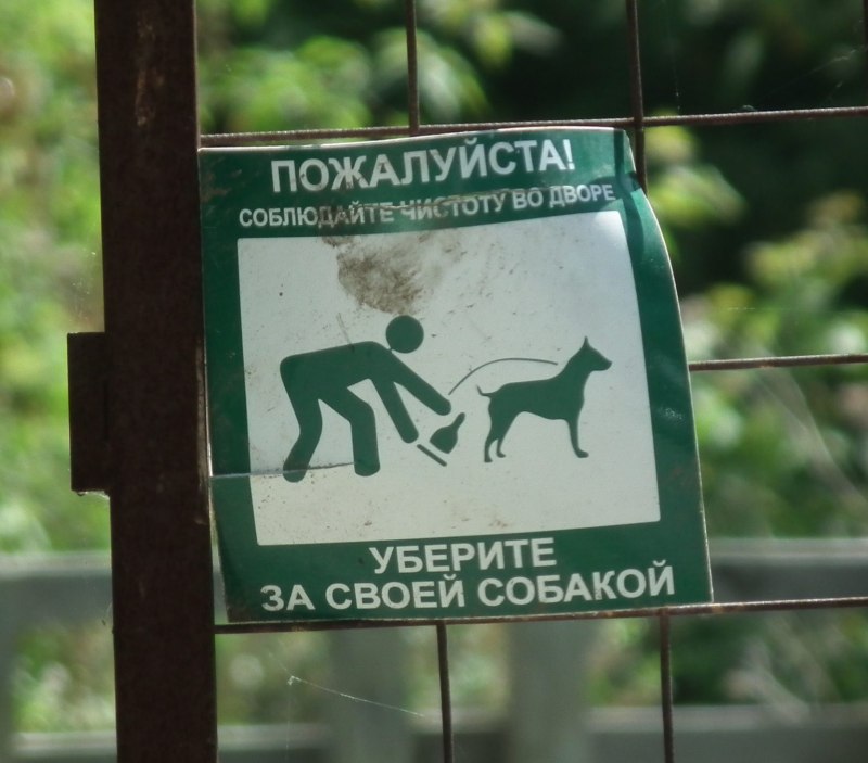Выгул собак без намордника табличка
