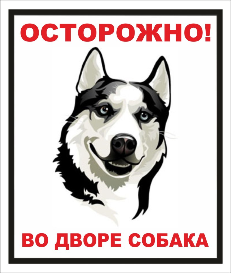 Западно Сибирская лайка